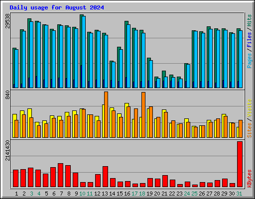 Daily usage for August 2024