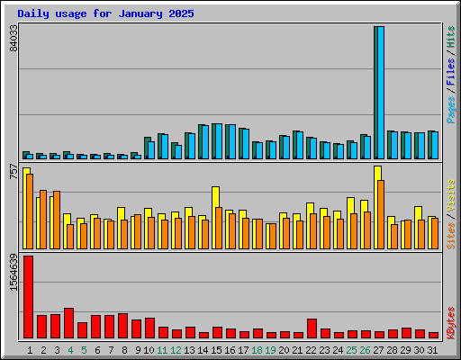 Daily usage for January 2025