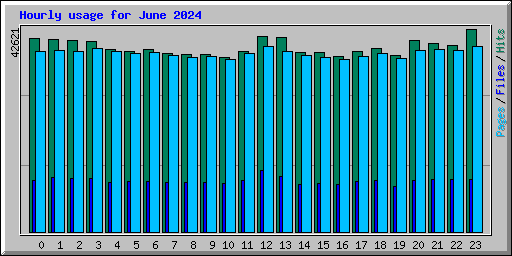 Hourly usage for June 2024