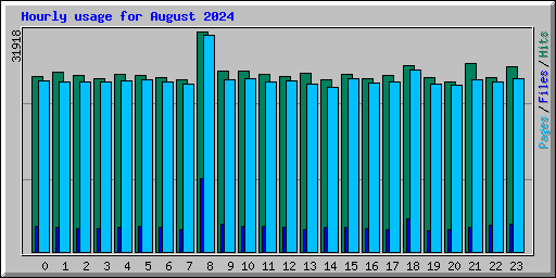 Hourly usage for August 2024