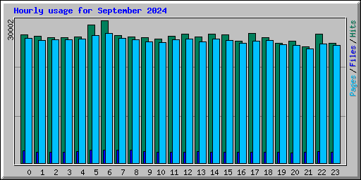 Hourly usage for September 2024