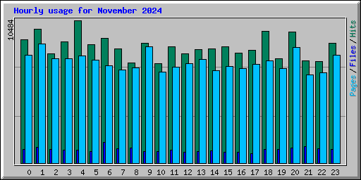 Hourly usage for November 2024