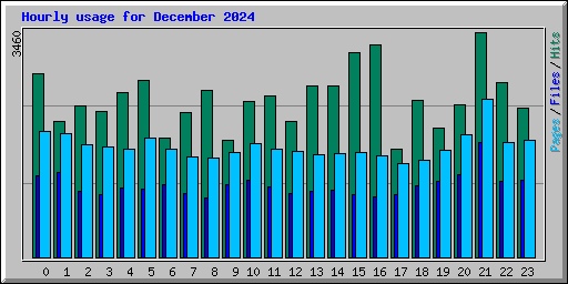 Hourly usage for December 2024