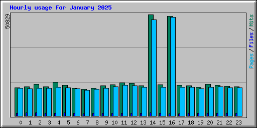 Hourly usage for January 2025