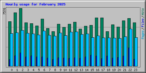 Hourly usage for February 2025