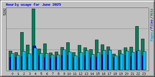 Hourly usage for June 2025