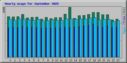 Hourly usage for September 2025